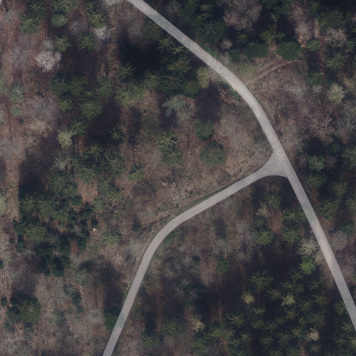 Map tile 1467.469